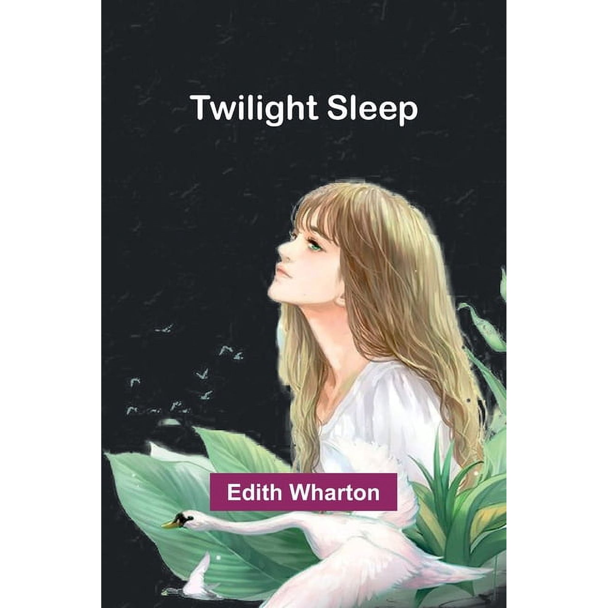 Twilight sleep (Paperback)