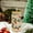 B 2Pcs, variant on HIELLFQ Color Changing Christmas Cup, Cute Color Changing Glass Cup with Leakproof Lid, Glass Straw and Straw Lid for Coffee Cold Drinks Christmas Gifts A 1Pc