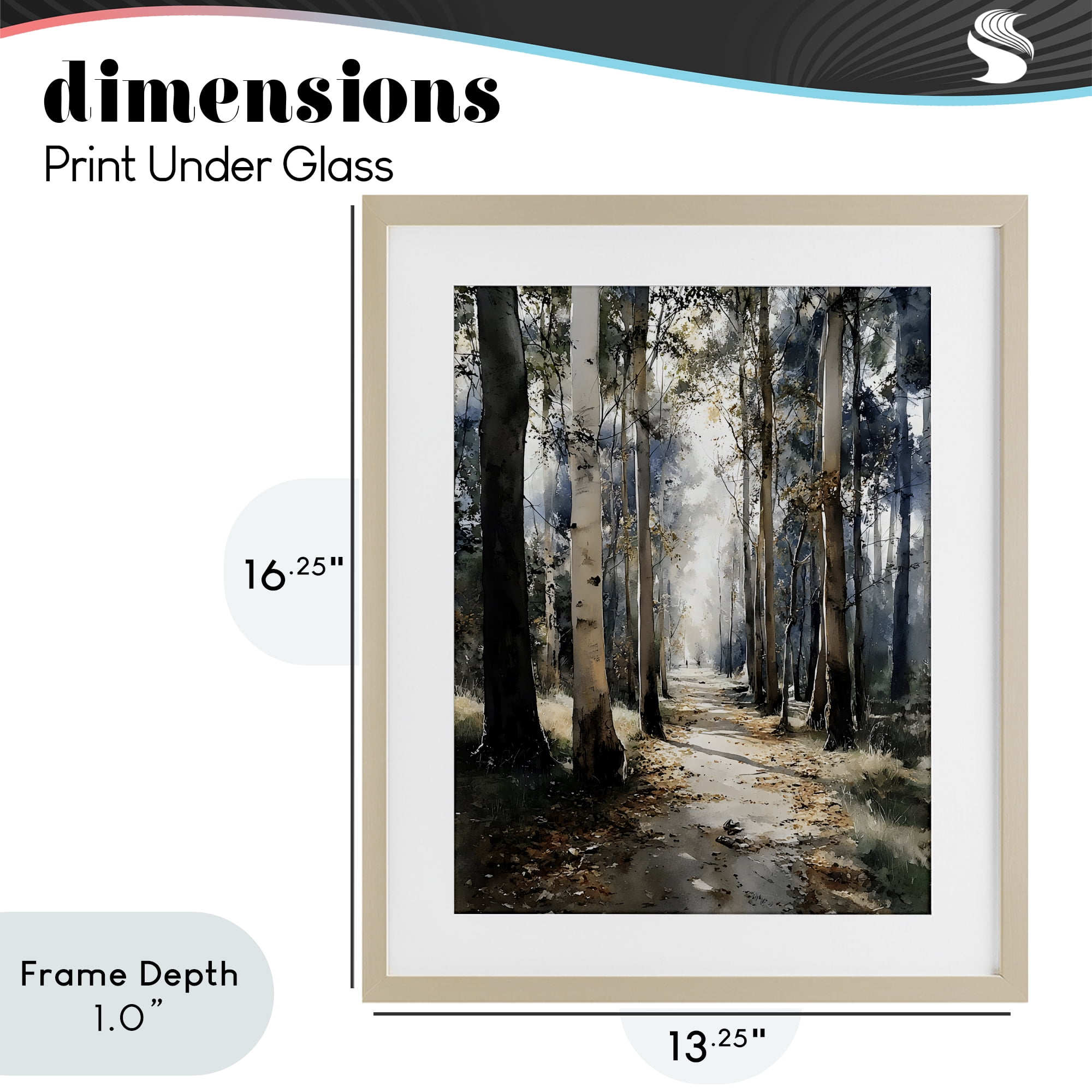 Stupell Industries Path in Autumn Light Birch Framed Print Under Glass, design by Franklyn Gregory