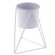 thumbnail image 1 of Soporte de Metal para Plantas Decoración de Jardines, Jardines, Ingeniería Un blanco, 1 of 9