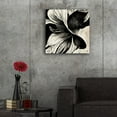 thumbnail image 5 of Epic Art 'Flowers Black White 20' by Ray Heere, Acrylic Glass Wall Art, 24"x24", 5 of 8