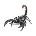 thumbnail image 3 of Kenally 3D araña lagarto escorpión 3D pegatina parachoques cuerpo PVC adhesivo ventana espejo adhesivo Decoración Automoción decorativa y accesorios No.01 Kenally VI000311-01, 3 of 6
