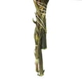 thumbnail image 5 of Vickerman 8-20" Erica Pink Plumosum Bundle, 13 flower heads per bundle, Preserved, 5 of 7