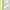 1 Flower-Green, variant on 65IN Dimmable Pink Floor Lamp for Living Room, Mid Century Modern Tall Standing Lamps with 1 Flower & 2Globe Lampshades & 3PCS Warm White Eye Care 3000K Bulbs Included