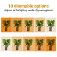 thumbnail image 4 of Plant Grow Light, Full Spectrum Plant Grow Light Strips Bulbs Adjustable Brightness Plant Lamp with Timing Function Grow Light Bulb 24 Hour Timing Cycle for Indoor Plants, 4 of 7