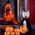 thumbnail image 4 of 7Pcs Halloween Foam Simulation Pumpkin Model Craft Party Home Decoration, 4 of 6
