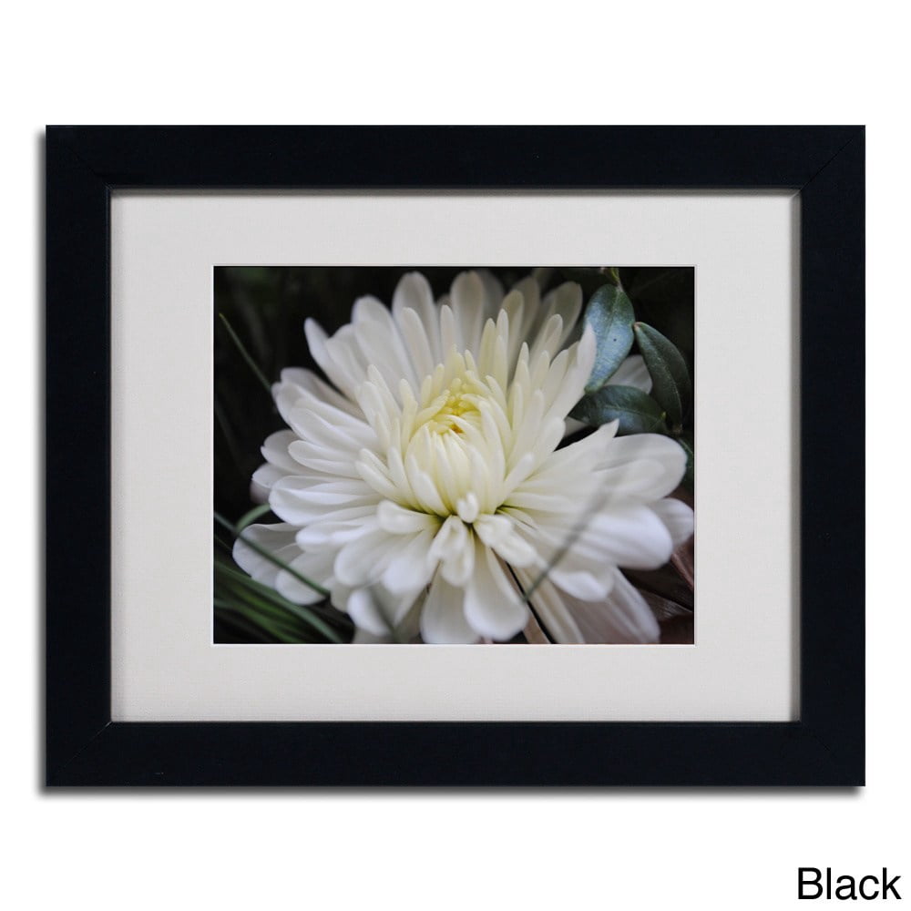 Trademark Fine Art "Vintage Culture" by Monica Fleet, Wood Frame