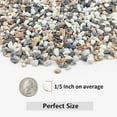 thumbnail image 2 of CUITING 2LB  and Cactus Gravel Pebbles  1/5 Inch Natural Decorative Polished Stones  River Rocks for Vases  Aquariums  Terrarium and Outdoor Gardening  Mixed Color, 2 of 9
