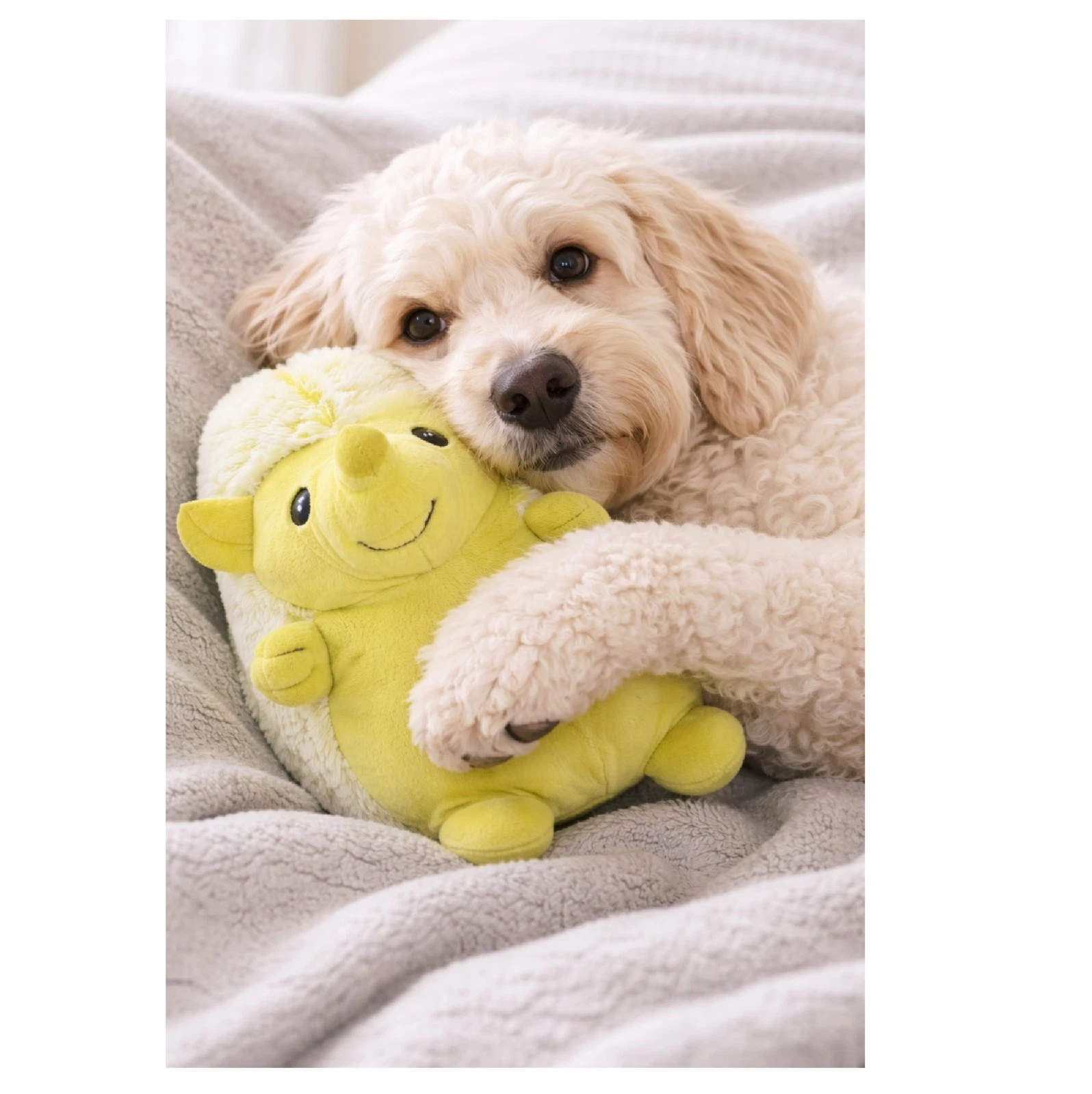 8" Plush Hedgehog Dog Toy Interactive Honking Choose Color or Full Set of 4 (Full Set_All 4 Colors)