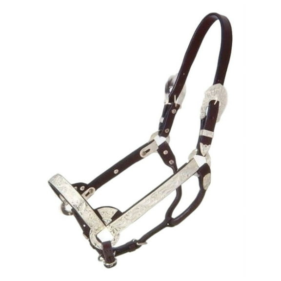 Tough 1 Halter Royal King Silver Bar Show Large Mini Dark Oil 18-82