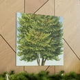 thumbnail image 6 of Elm Tree Realism - Canvas, 6 of 10