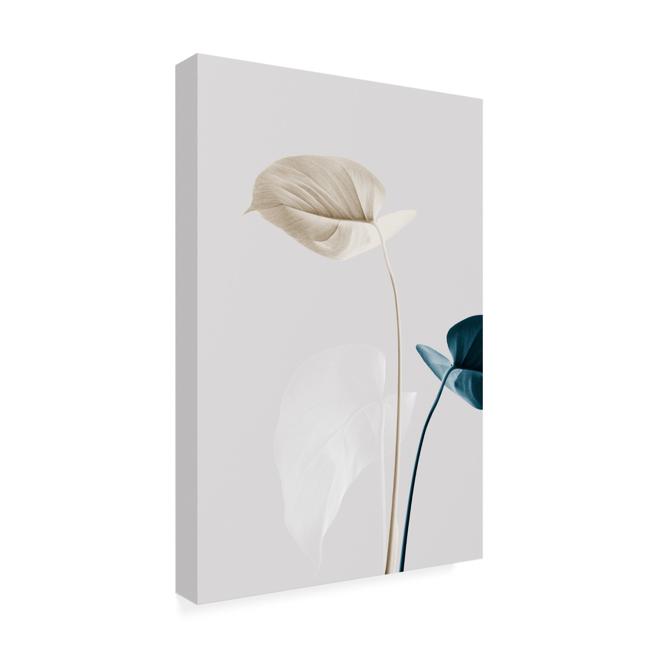 Trademark Fine Art Pictufy Studio Monstera Creative 22 Canvas Wall Art