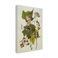 thumbnail image 4 of Trademark Fine Art "Black and Yellow Warbler" Canvas Art by John James Audubon, 4 of 4