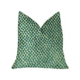 thumbnail image 1 of PBKR1910-1818-DP Plutus Coussin de Luxe Vert Mer Iota Turquoise, 18 x 18 Po., 1 of 3