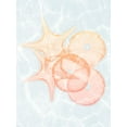 thumbnail image 2 of Koetsier, Albert 15x18 Black Ornate Wood Framed with Double Matting Museum Art Print Titled - Starfish Shine, 2 of 4