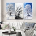 thumbnail image 1 of Designart "White Tree Winters beauty" Landscape Trees Wall Art Set Of 3 - White Trees Gallery Set For Office Decor, 1 of 6