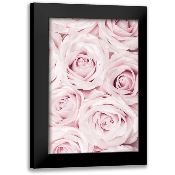 1x Studio III 11x14 Black Modern Framed Museum Art Print Titled - Pink Roses No 02
