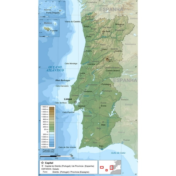 Wall Art Impressions 24x42in Poster Topographic and administrative map in Portuguese of Portugal