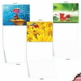 thumbnail image 5 of 10 Assorted All Occasion Blank Note Cards with Envelopes (4 x 5.12 Inch) - LADY B. M1546BN, 5 of 6