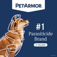 thumbnail image 3 of PETARMOR Antihistamine Tablets for Dogs, 3 of 5