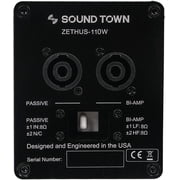 نظام مكبر الصوت بمصفوفة خط سلسلة من سلسلة Sound Town ZETHUS مع مضخم صوت بمصفوفة خط كهربائي مقاس 15 بوصة ، ومكبرات صوت مدمجة 1 X 10 بوصة