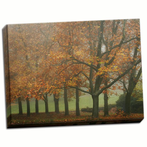 Gango Home Decor Colors in the Mist VIII by Vitaly Geyman (Ready to Hang); One 24x18in Hand-Stretched Canvas