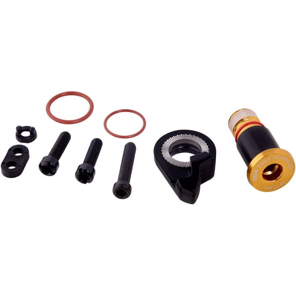 SRAM XX1 Eagle Rear Derailleur B-Bolt and Limit Screw Kit, Gold