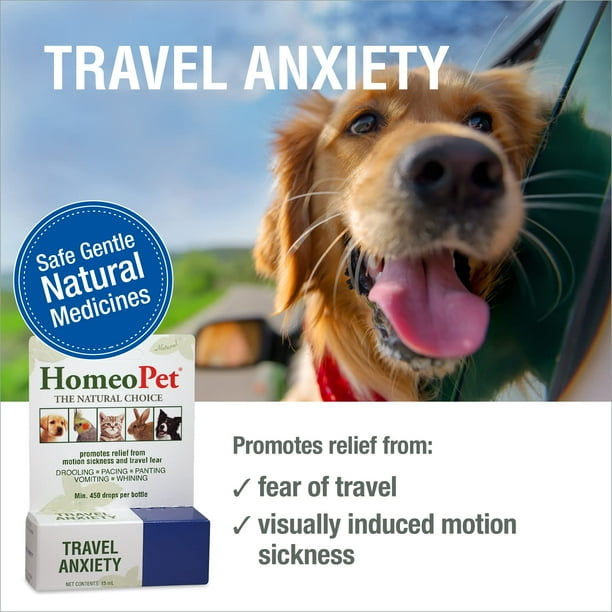 Dog travel anxiety medication hotsell