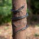 thumbnail image 3 of Juguete Rubber Snake Brandon Super Realistic Black Mamba 130 cm, 3 of 6