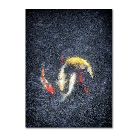 Photographic Canvas Art - Trademark Fine Art 'Koa With Rain' Canvas Art by Joe Felzman Photography