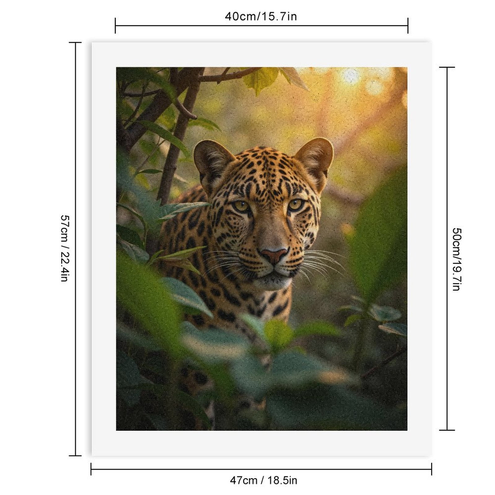 Paint by Numbers Kit for Adults, Wild Cat Jungle Sunset Mystery Paint by Numbers, Easy Paint by Numbers Kit for Adults Beginner, DIY Adult Paint by Number Kits on Canvas, Home Decor