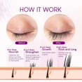 thumbnail image 3 of FEGPLUS-suero orgánico Natural para crecimiento de cejas, potenciador de pestañas, 3 of 4