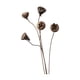 thumbnail image 2 of Ramo de flores secas Strade Fareast Limited arreglo floral decoración del hogar Estilo G, 2 of 8