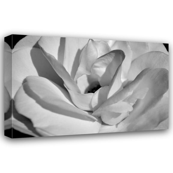 Brian Moore 18x13 Gallery Wrapped Canvas Wall Art Titled - Macro Flower I