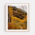 thumbnail image 2 of Conundrum Creek Trail - Aspen Colorado Photography Autumn Landscape Nature Mountain Forest Scenic Woodland Unframed Wall Art Print 24 x 30 inches, 2 of 13