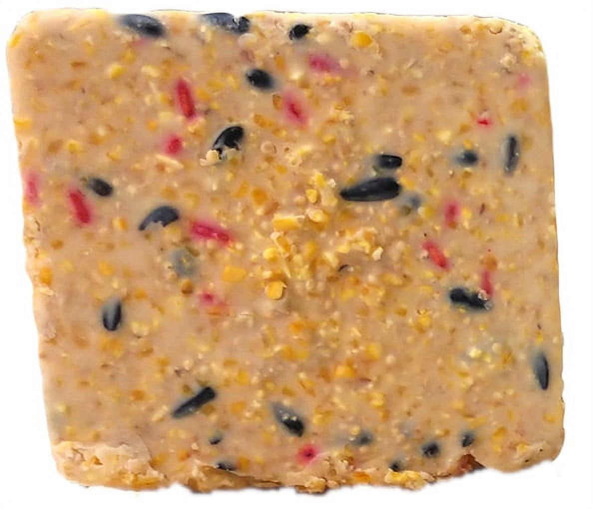 Suet Cake Jumbo Mixed 20 Pack | 10 Peanut & 10 Berry 11 oz. Suet Cakes for Wild Birds | Melt Resistant Formula