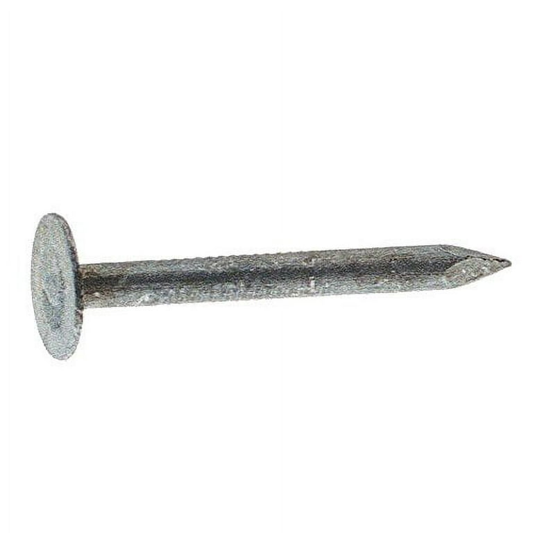 Grip-Rite 2 in. Roofing Electro-Galvanized Steel Nail Flat Head 30 lb Grip-Rite 2 in. Roofing Electro-Galvanized Steel Nail Flat Head 30 lb