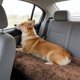 thumbnail image 4 of Manta Suave de Fibra Larga para Mascotas (Perros y Gatos): Ropa de Cama Transpirable, Peluda y Acogedora para Usar En La Perrera, El Sofá o El Coche. Alfombrilla de Descanso de Tela Sintética para La, 4 of 6