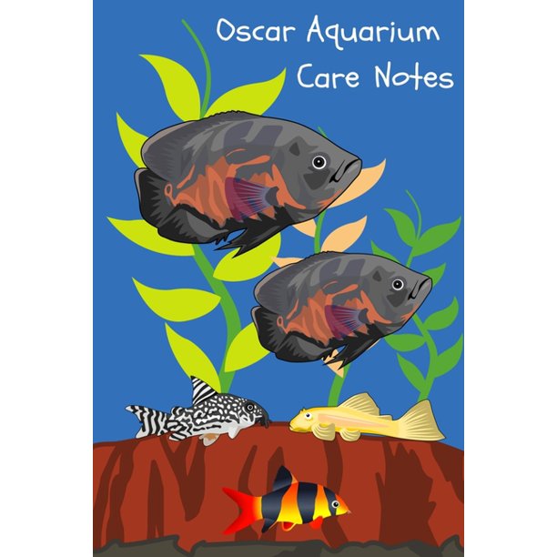 Oscar Aquarium Care Notes Customized Oscar Fish Keeper Oscar Aquarium Care Notes Customized Oscar Fish Keeper