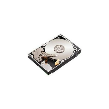 Lenovo Americas ST3000NC000 Constellation CS 3 TB 3. 5 inch Internal Hard Drive