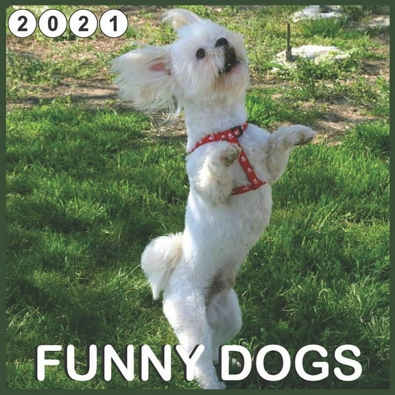 Funny Dogs : 2021 Wall & desc Calendar, Great Gifts for dogs lover 16 Month calendar (Paperback)