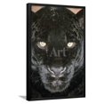thumbnail image 1 of Black Jaguar, Animals Framed Art Print Wall Art Sold by Art.Com, 1 of 5