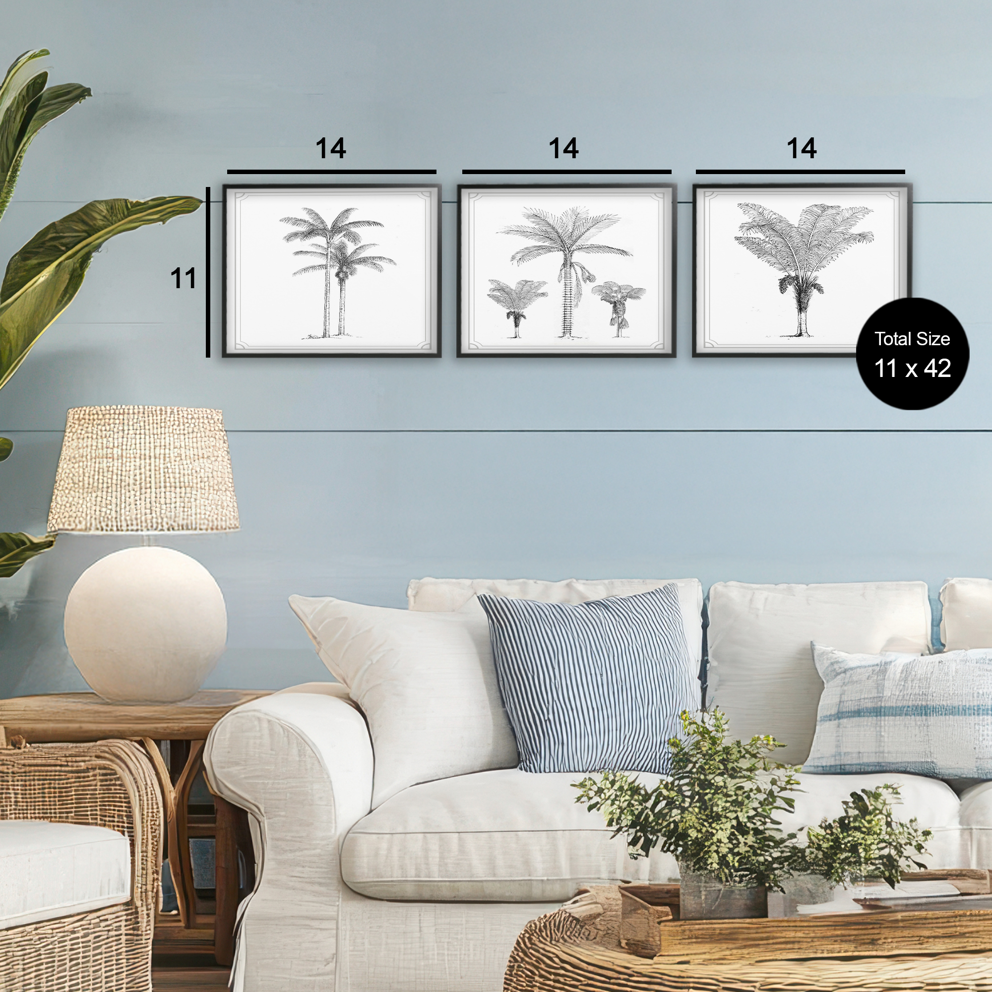 Minimal Vintage Palm Tree Sketches 3 Piece Black Framed Giclee Art Set, design by Lettered and Lined