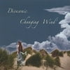 Divasonic - Changing Wind - Music & Performance - CD