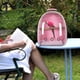 thumbnail image 4 of Bolsa transportadora de pájaros Salvador Mochila de pájaro Rosa Rosado, 4 of 6
