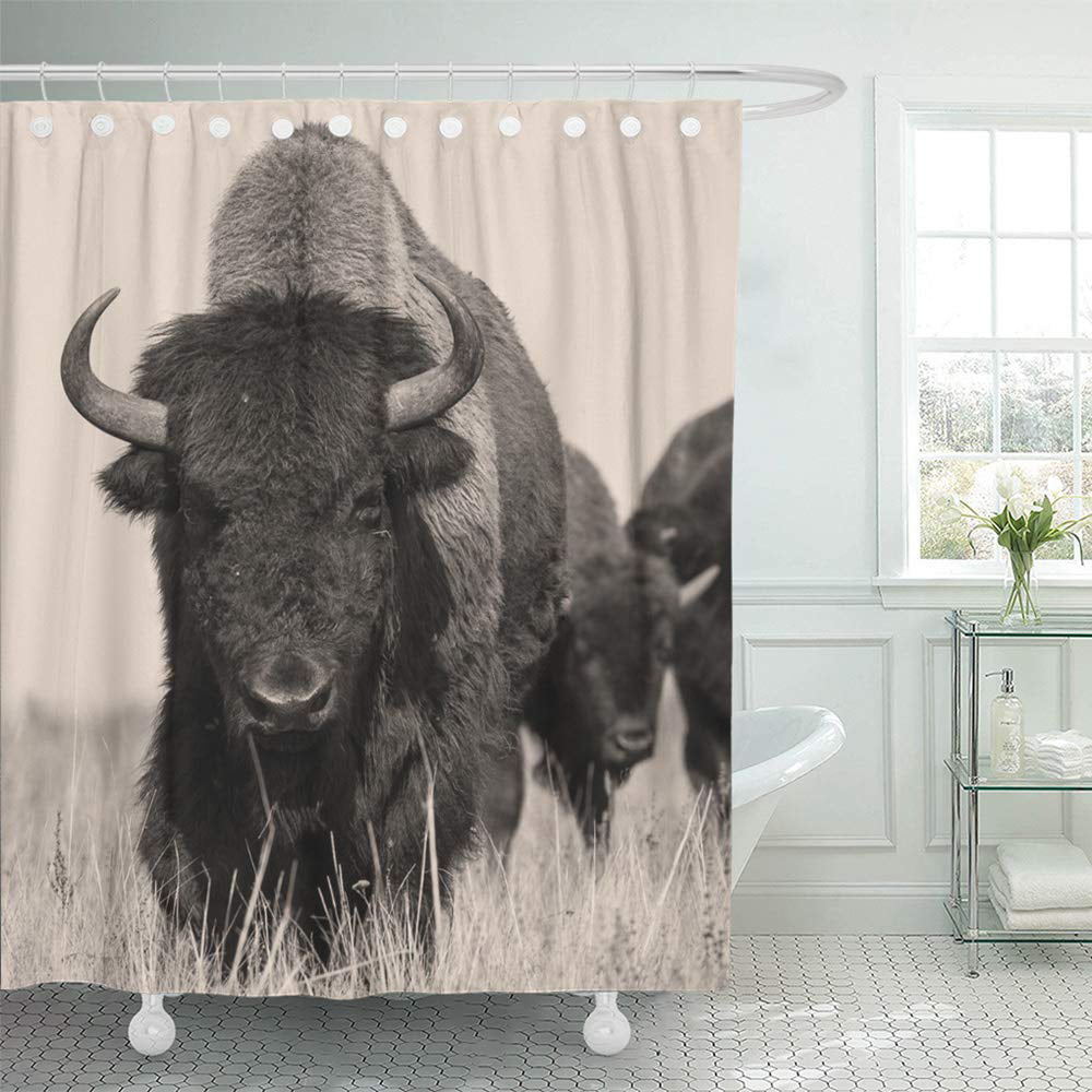 Horses running on the prairie Bathroom Shower Curtain Fabric & 12 Hooks 71x71in 