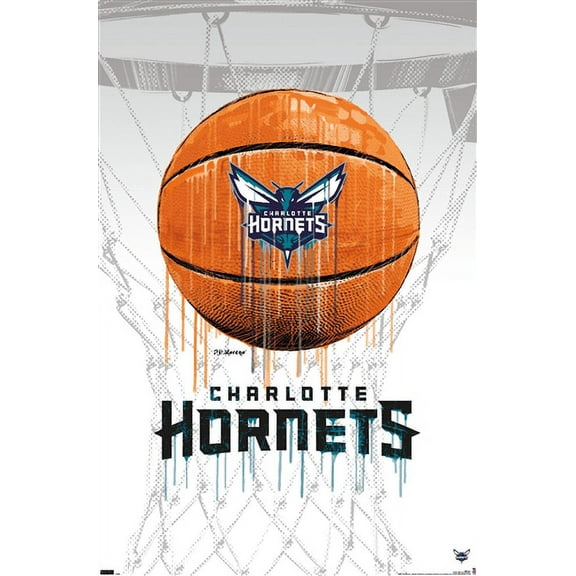 NBA Charlotte Hornets - Drip Basketball 21 Wall Poster, 22.375" x 34"