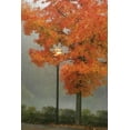 thumbnail image 1 of Affiche Imprimée Colors in the Mist II par Vitaly Geyman (12 x 18), 1 of 1