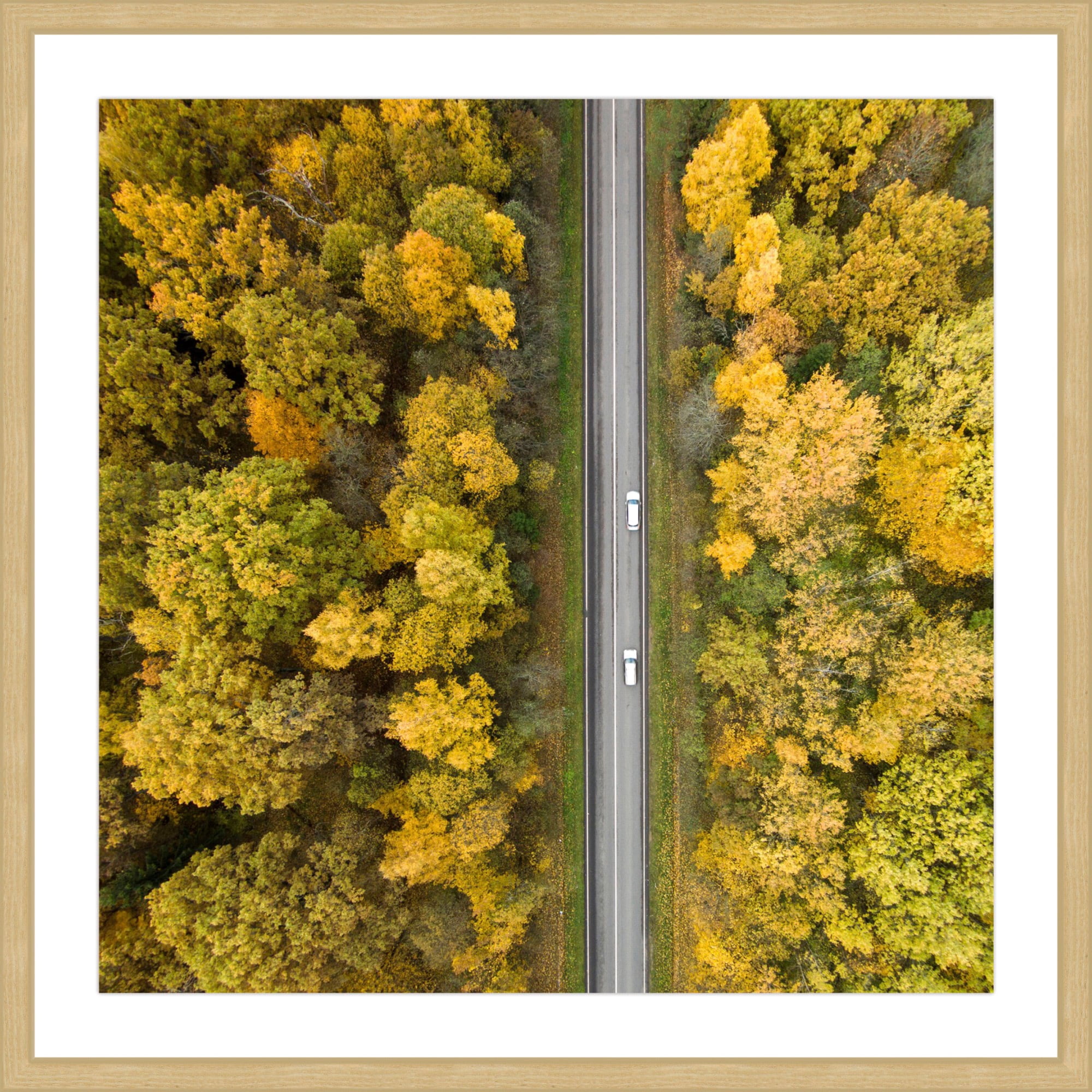 Marmont Hill "Nature Road" By Karolis Janulis Framed Painting Art Print, 32.0" x 1.5"