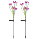 thumbnail image 1 of Luces decorativas florales para jardín solar al aire libre, luces decorativas de paisaje de paso (paquete de 2) Adepaton CPB-US-DYP998-2, 1 of 5